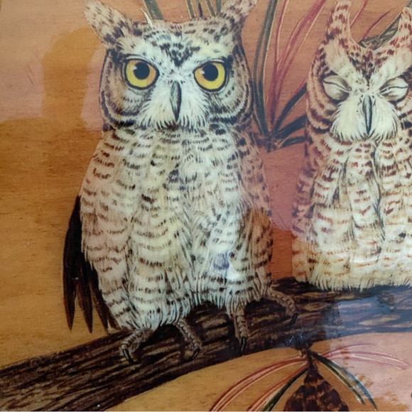 Vintage MCM Cappelli Straworld Wicker Purse w/ Owls on Wood Lid - Picture 7 of 15